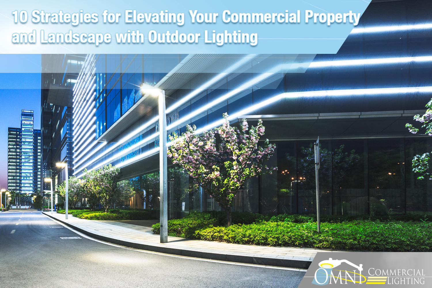 10 Strategies for Elevating Your Commercial Property and Landscape with Outdoor Lighting